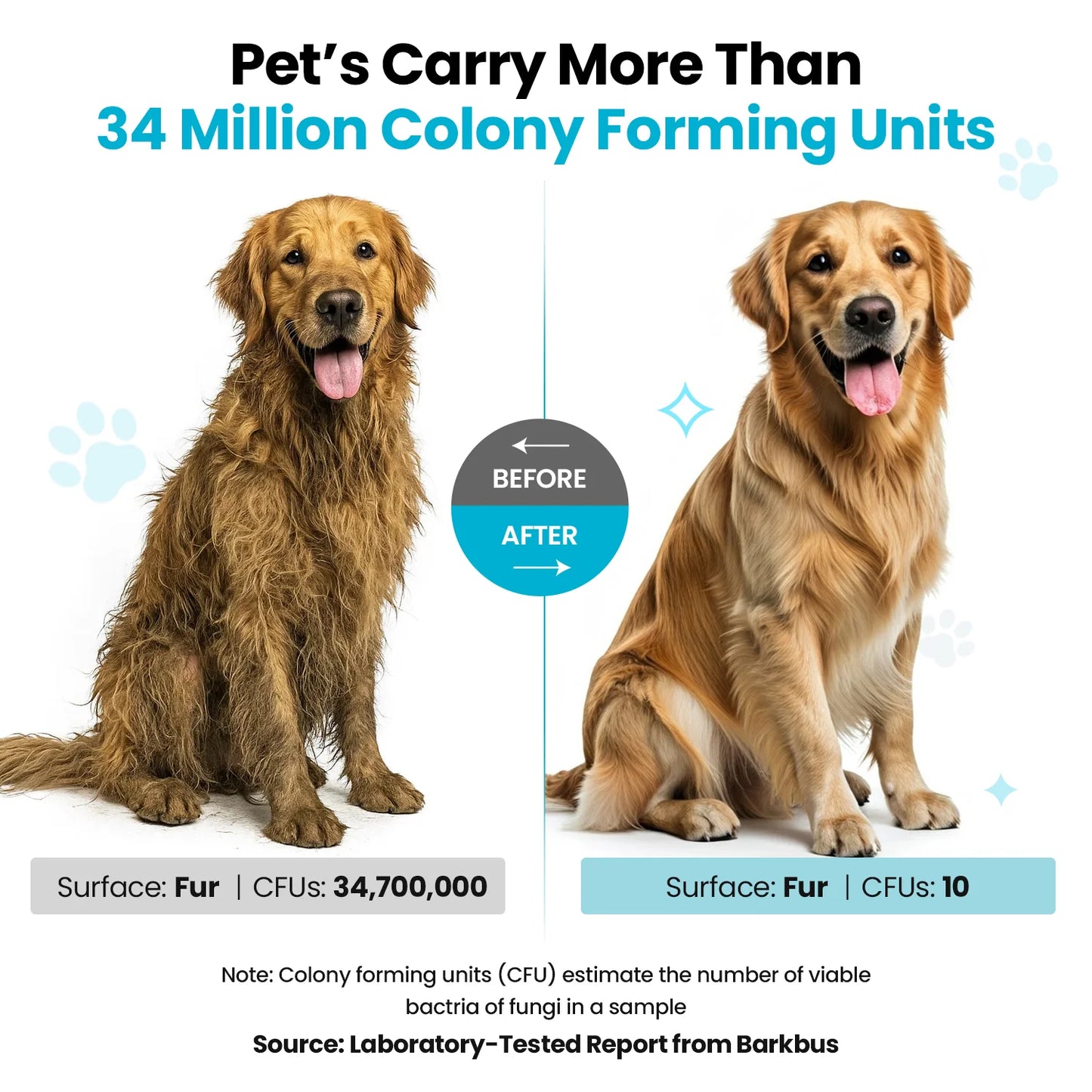 PetGroom Pro™ 7-in-1 Pet Grooming Vacuum Kit